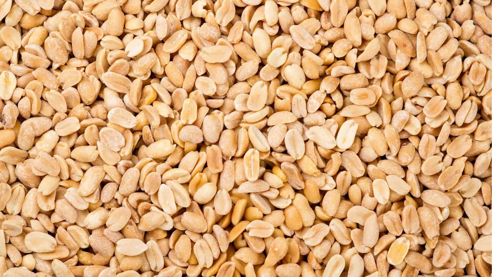 A close-up view of a large amount of shelled, roasted peanuts.