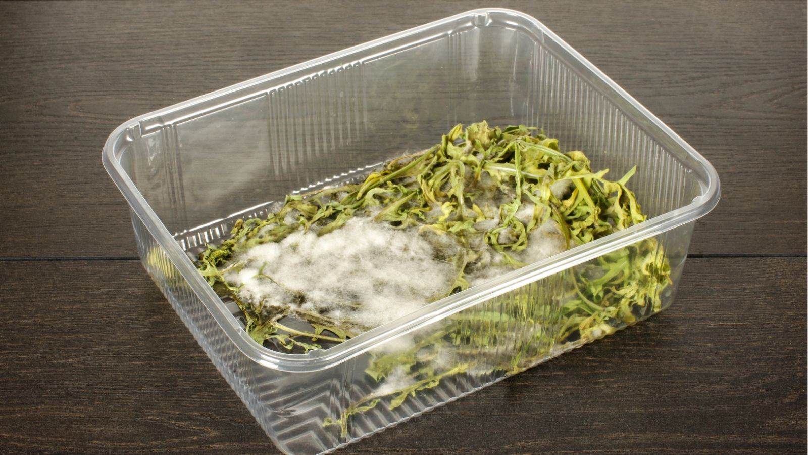 Clear plastic container with wilted green leaves, some covered in white mold, placed on a dark wooden surface.