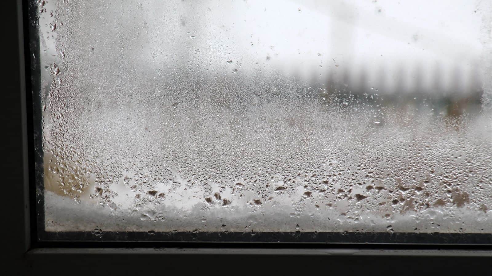 A window with condensation and water droplets on the glass, with an indistinct, blurred view of the outdoors in the background.