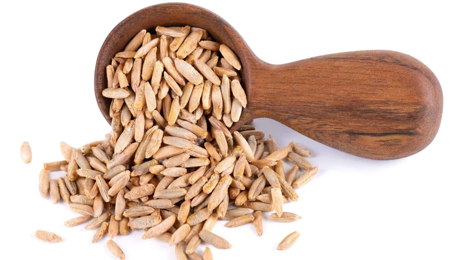A wooden scoop filled with rye grains, some spilling onto a white surface.