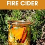 A glass jar of homemade fire cider, containing sliced citrus and cinnamon sticks, sitting among evergreen branches. Text overlay reads: “THE BEST HOMEMADE FIRE CIDER” and “schisandraandbergamot.com”.