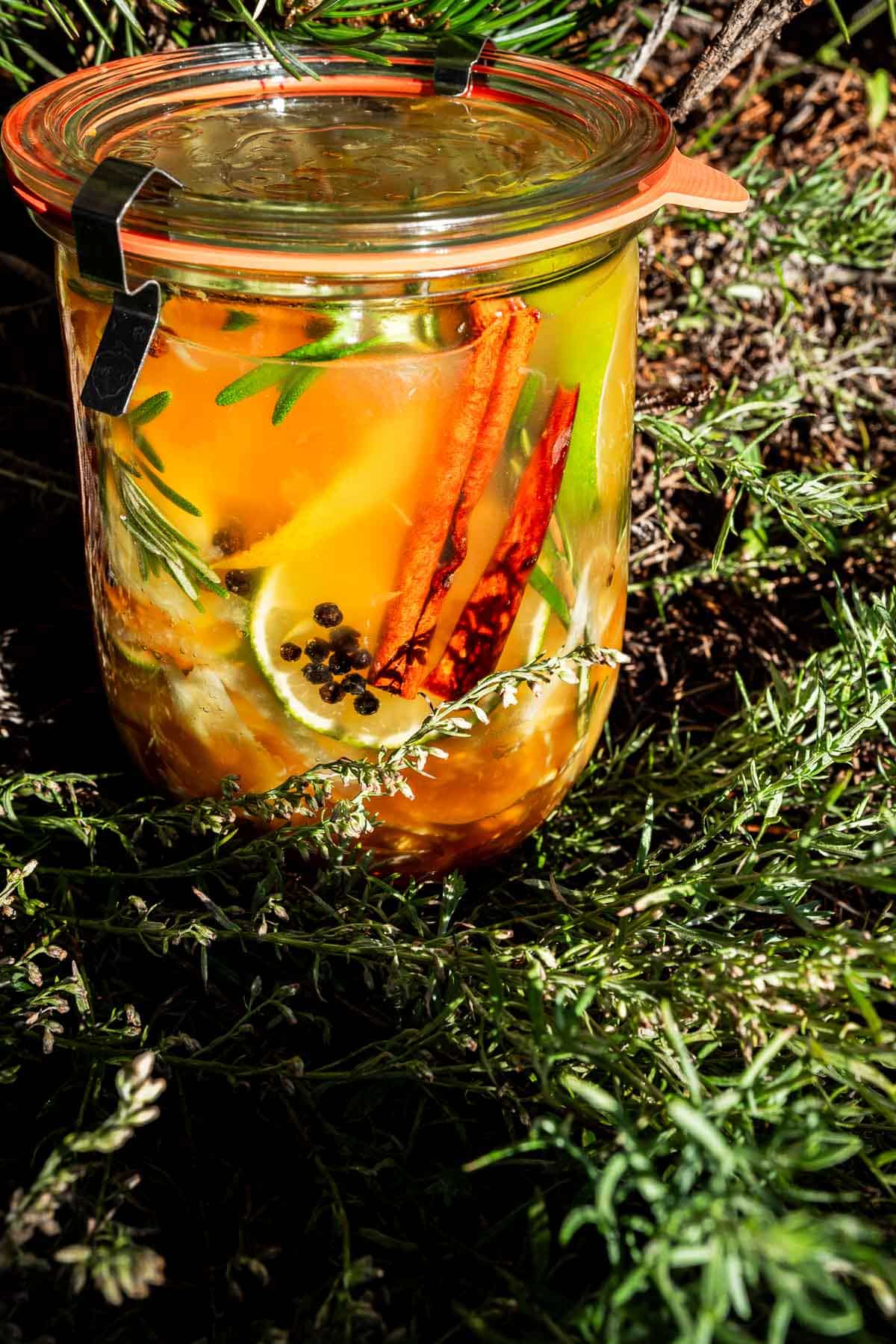 A glass jar of fire cider containing lime slices, cinnamon sticks, peppercorns, and sprigs of rosemary, set on a bed of greenery.